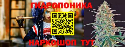 гашик Кулебаки