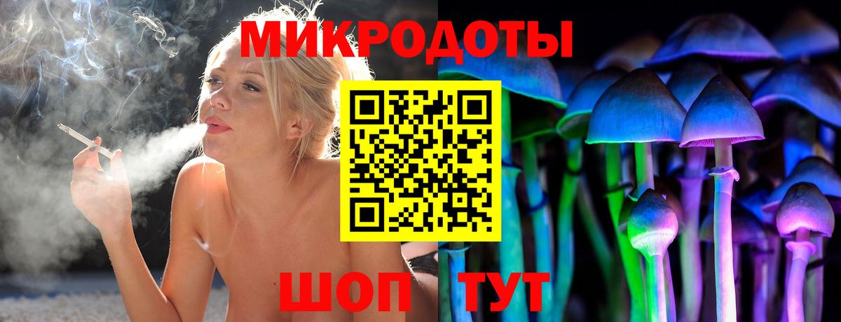 Галлюциногенные грибы GOLDEN TEACHER  где можно купить наркотик  Хабаровск  Псилоцибиновые грибы Psilocybe  Вход с VPN 